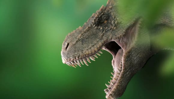 Cinco descubrimientos increíbles sobre dinosaurios en el 2021 | Radio  Victoria de Giron