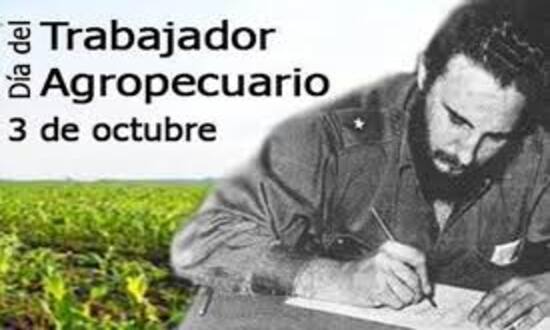 Provincial